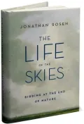 The Life of the Skies