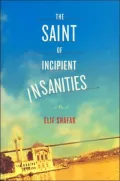 The Saint of Incipient Insanities : A Novel