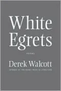 White Egrets