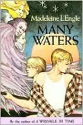 Many Waters