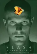 Flash