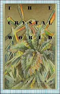 The Crystal World