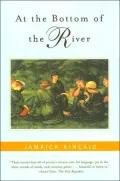 At the Bottom of the River