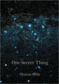 One Secret Thing