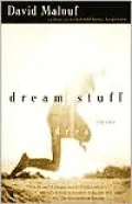 Dream Stuff: Stories