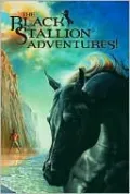 Black Stallion Adventure Set