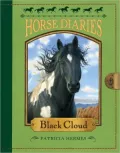 Black Cloud (Horse Diaries Series #8)