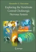 Exploring the Vertebrate Cholinergic Nervous System