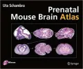 Prenatal Mouse Brain Atlas [With DVD]