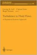 Turbulence in Fluid Flows