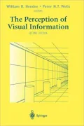 The Perception of Visual Information