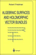 Algebraic Surfaces and Holomorphic Vector Bundles