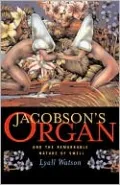 Jacobson's Organ: And the Remarkable Nature of Smell