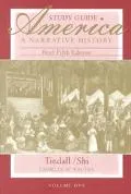 America A Narrative History