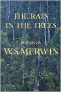 The Rain in the Trees