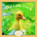Little Duck