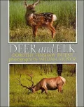 Deer and Elk