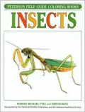 Insects : Colouring Book