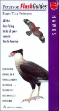 Hawks: All the day-flying birds of prey seen in North America