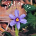 Wildflowers Around the Year