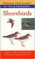 Shorebirds