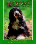 Rosie: A Visting Dog's Story