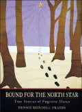 Bound for the North Star: True Stories of Fugitive Slaves