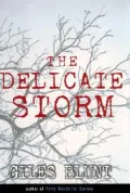 The Delicate Storm