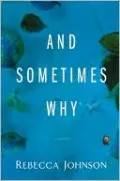 And Sometimes Why