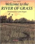 Welcome to the river of grass