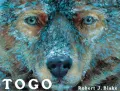 Book cover of Togo