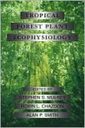 Tropical Forest Plant Ecophysiology