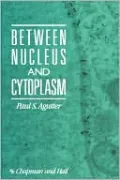 Between Nucleus and Cytoplasm