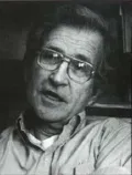 Noam Chomsky: Critical Assessments