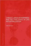 China’s Large Enterprises and the Challenge of Late Industrialisation