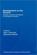 Industrial Clusters in Developing Countries