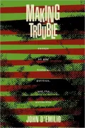 Making Trouble: Essays on Gay History, Politics, and the University