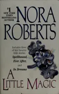Book cover of A Little Magic