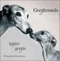 Greyhounds Big and Small