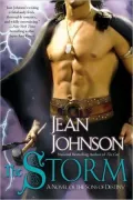 The Storm (Sons of Destiny Series #6)
