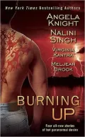 Burning Up