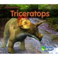 Acorn : Dinosaurs: Triceratops Hardback