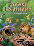Forest Explorer: A Life-Sized Field Guide