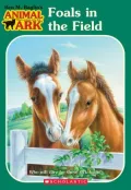 Foals in the Field