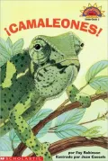 Cool Chameleons