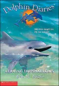 Leaving the Shallows