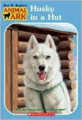 Husky in a Hut