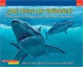 ¿Qué cenan los tiburones? (What Do Sharks Eat for Dinner?)