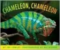 Chameleon Chameleon