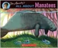 All about Manatees